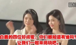 白鹿闺蜜爆料视频大全,揭秘娱乐圈背后的真相